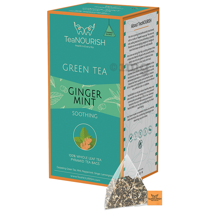 TeaNourish Green Tea Bag Ginger Mint