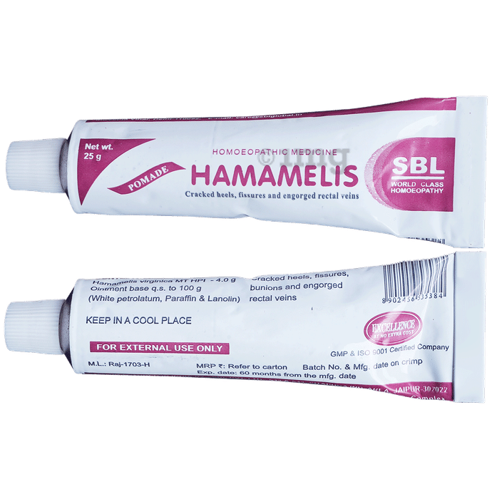 SBL Hamamelis Ointment