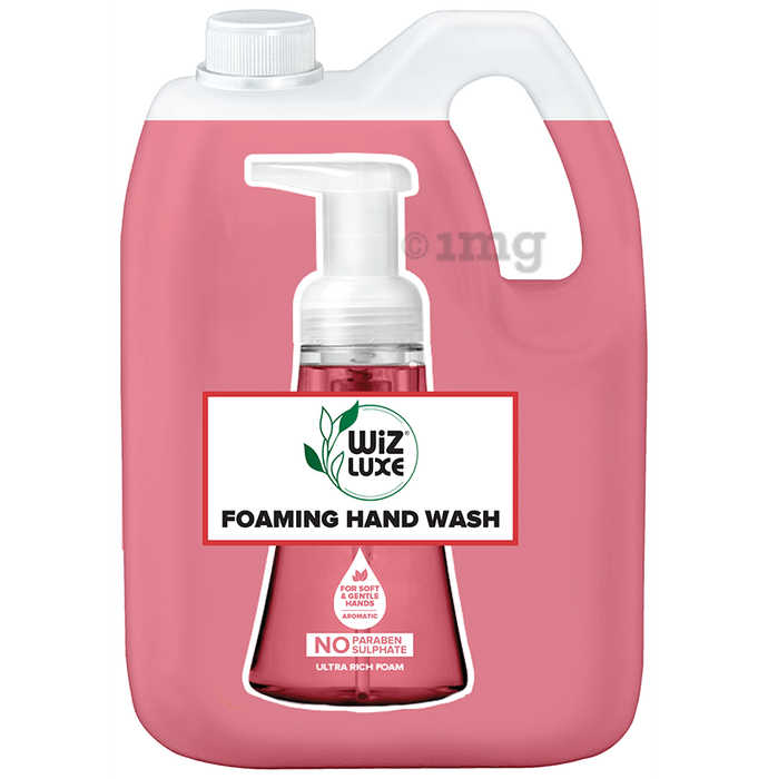 Wiz Luxe Foaming Hand Wash Refill Pack (5L Each) Strawberry Pulp