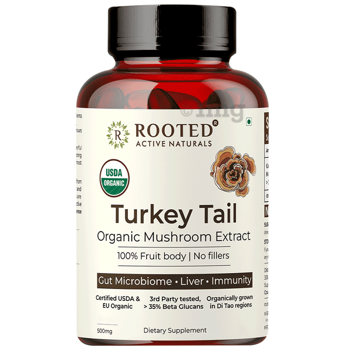 Rooted Active Naturals Turkey Tail Organic Mushroom Extract Capsule