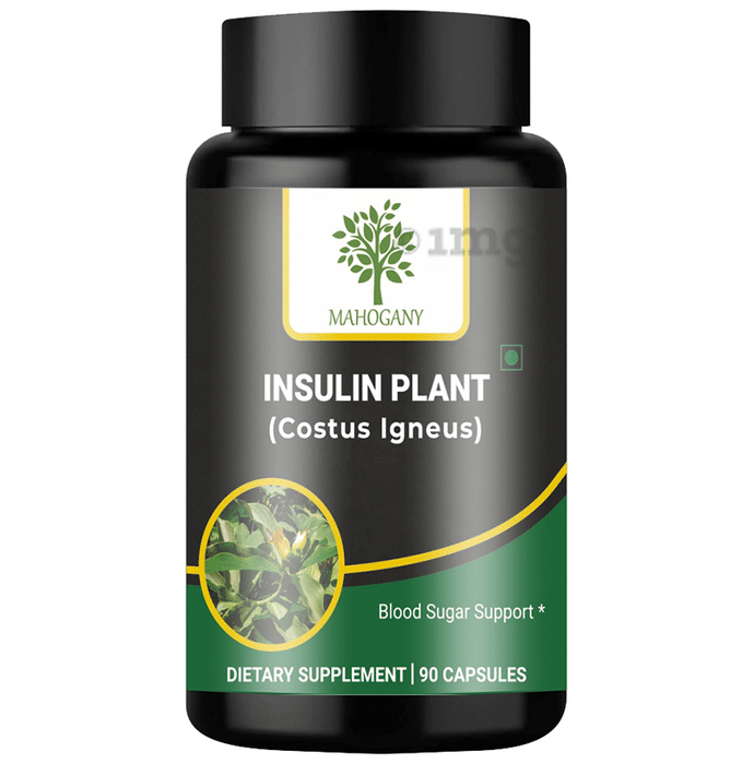 Mahogany Insulin Plant Capsule