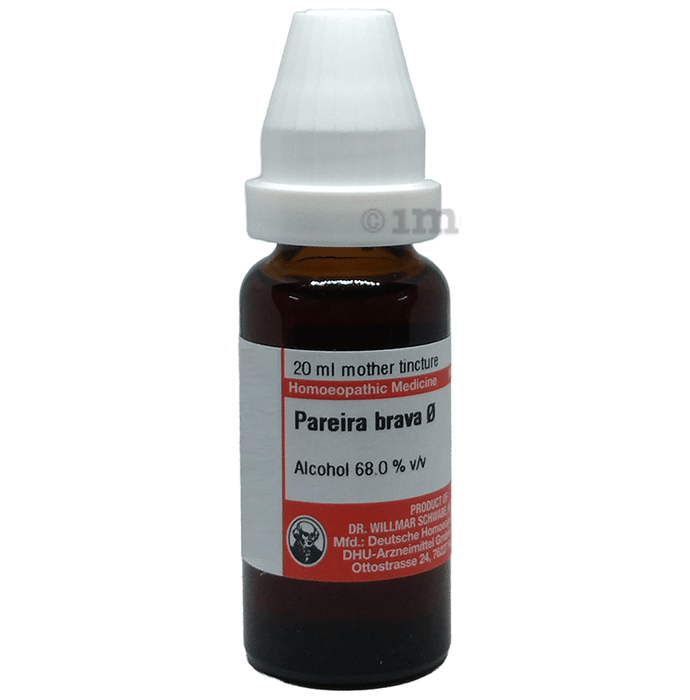 Dr Willmar Schwabe Germany Mother Tincture Pareira Brava  Q