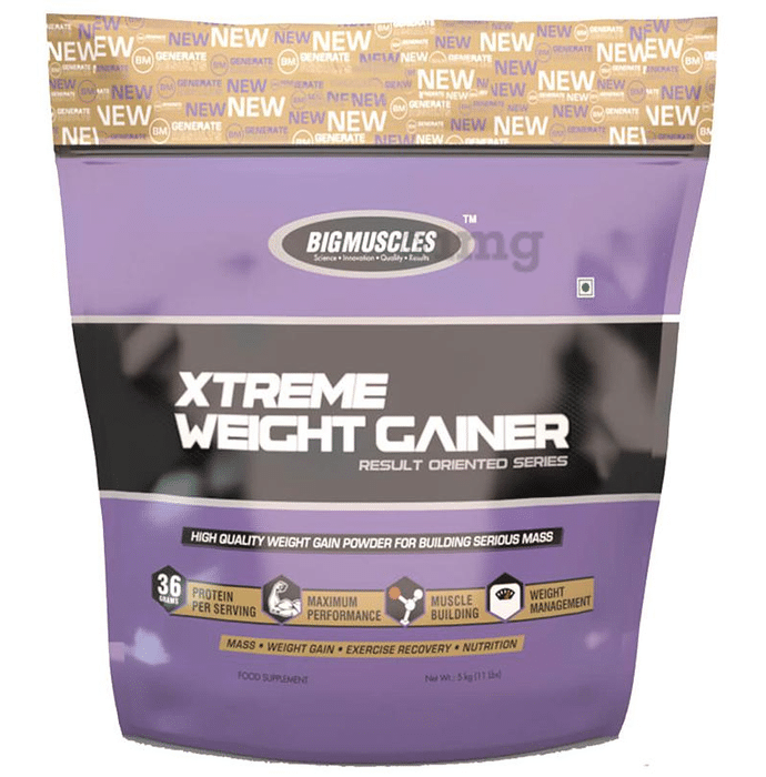 Big  Muscles Xtreme Weight Gainer Milk Chocolate