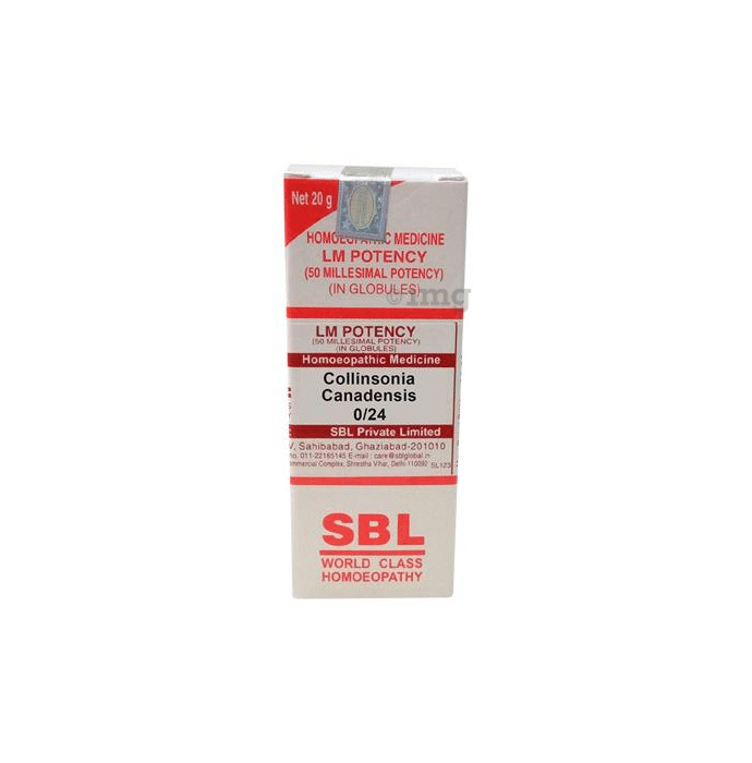 SBL Collinsonia Canadensis 0/24 LM