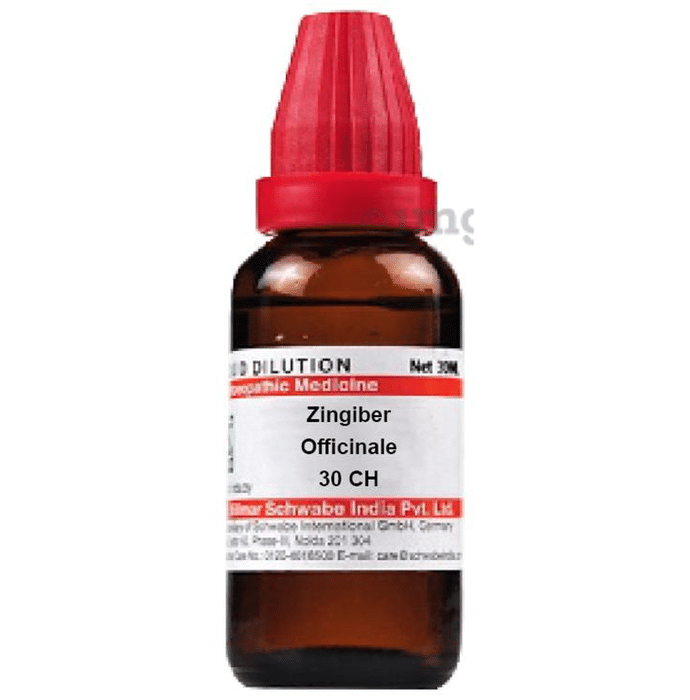 Dr Willmar Schwabe India Zingiber Officinale Dilution 30 CH