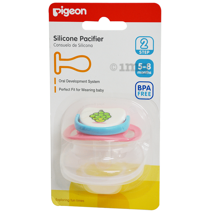 Pigeon pacifier hot sale step 2