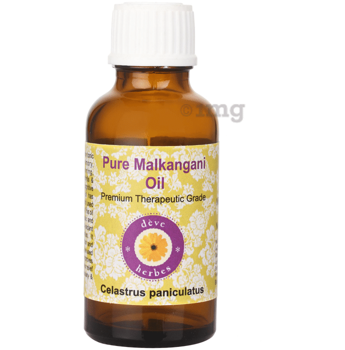 Deve Herbes Pure Malkangani/Celastrus Paniculatus Oil
