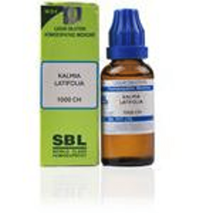 SBL Kalmia Latifolia Dilution 1000 CH