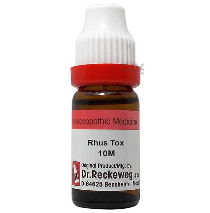 Dr. Reckeweg Rhus Tox Dilution 10M CH