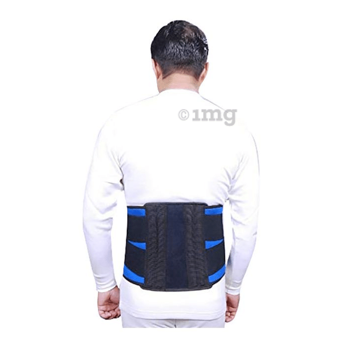 Witzion Large Blue and Black Contoured Lumbar Sacral Back Support Belt