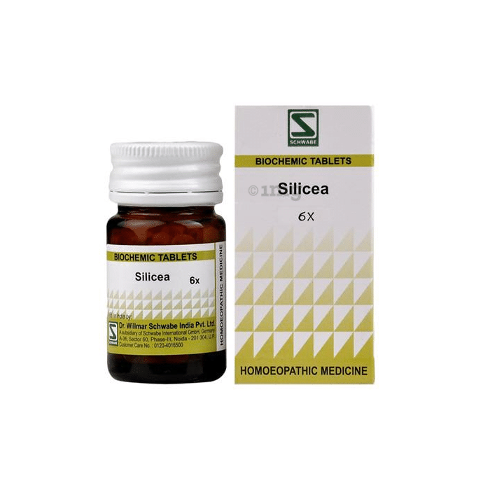 Dr Willmar Schwabe India Silicea Biochemic Tablet 6X
