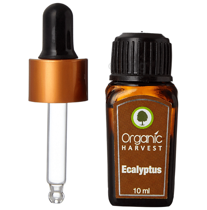 Organic Harvest Eucalyptus Essential  Oil