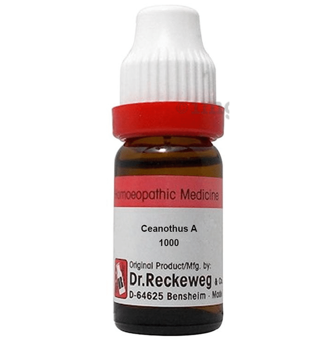 Dr. Reckeweg Ceanothus A Dilution 1000 CH