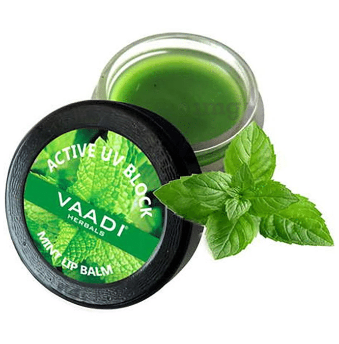 Vaadi Herbals Value Pack of 4 Lip Balm Mint