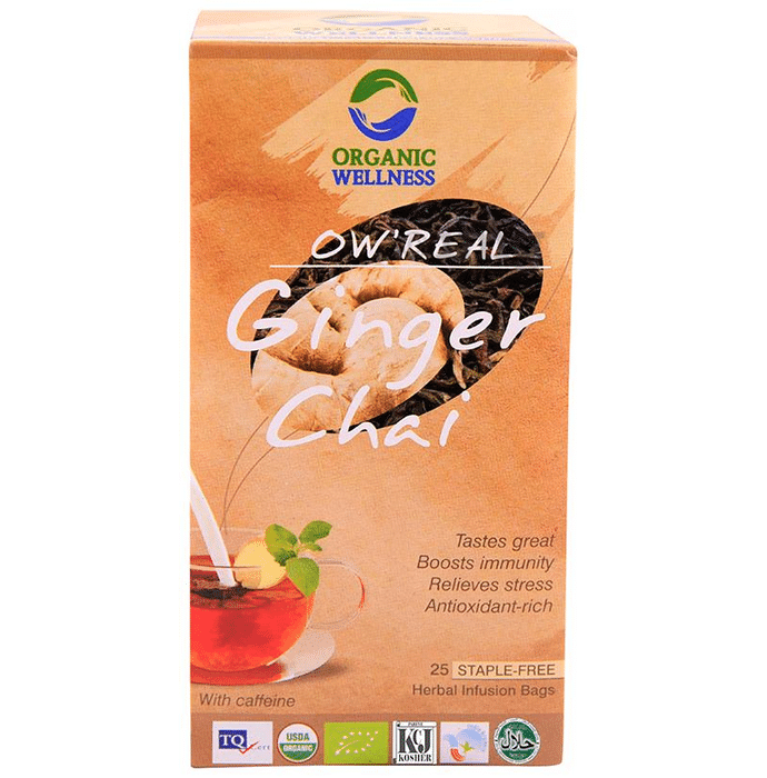 Organic Wellness OW' Real Chai Infusion Tea Bag Ginger