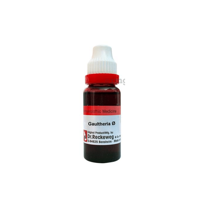 Dr. Reckeweg Gaultheria Mother Tincture Q