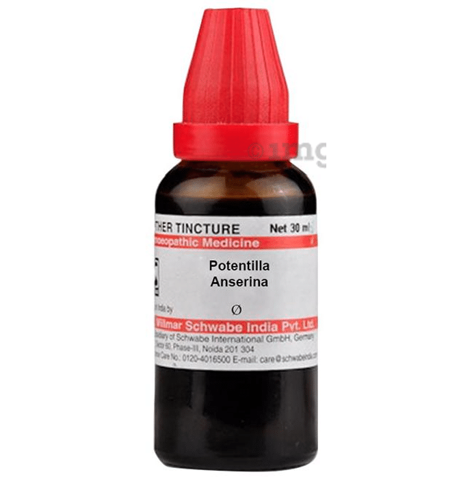 Dr Willmar Schwabe India Potentilla Anserina Mother Tincture Q