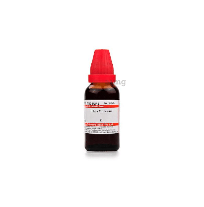 Dr Willmar Schwabe India Thea Chinensis Mother Tincture Q