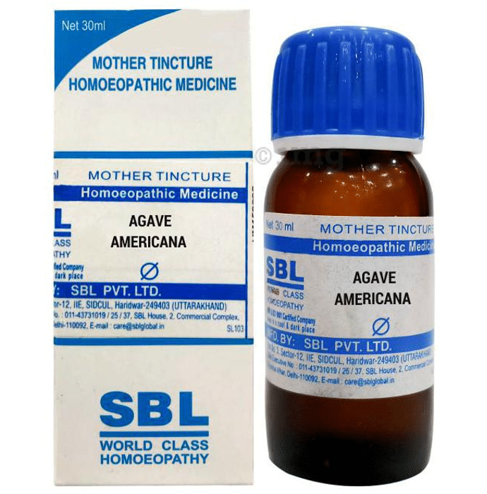 SBL Agave Americana Mother Tincture Q