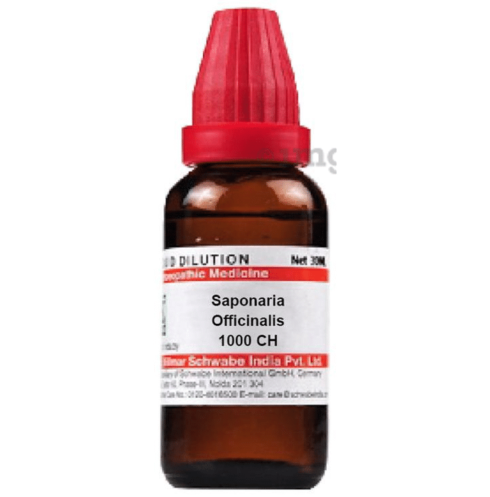 Dr Willmar Schwabe India Saponaria Officinalis Dilution 1000 CH