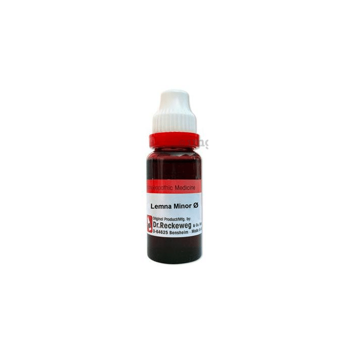 Dr. Reckeweg Lemna Minor Mother Tincture Q