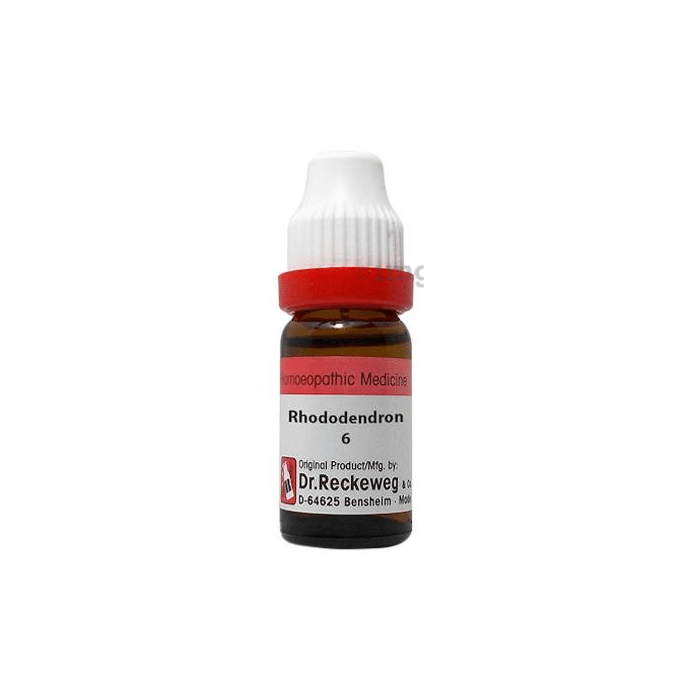 Dr. Reckeweg Rhododendron Dilution 6 CH