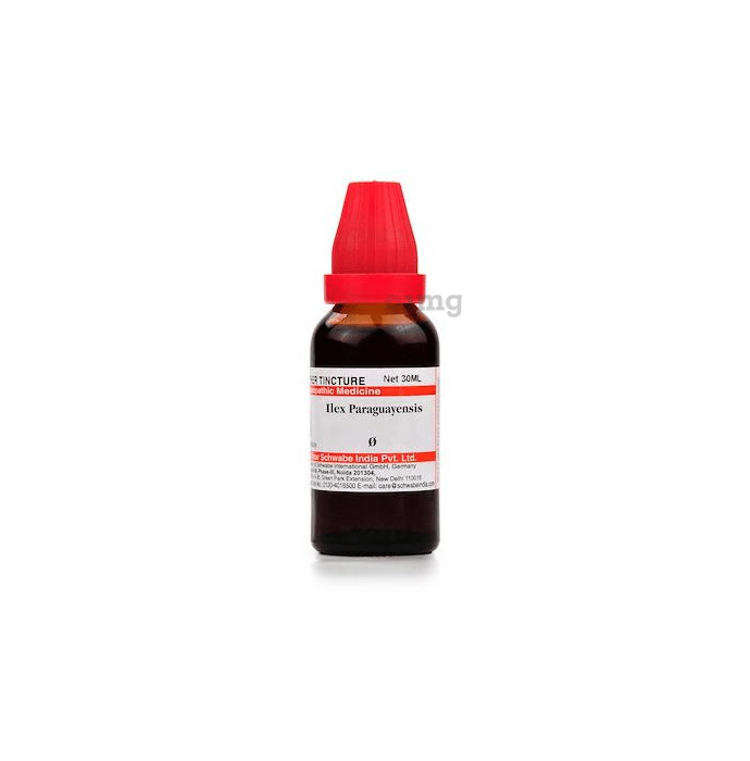 Dr Willmar Schwabe India Ilex Paraguayensis Mother Tincture Q