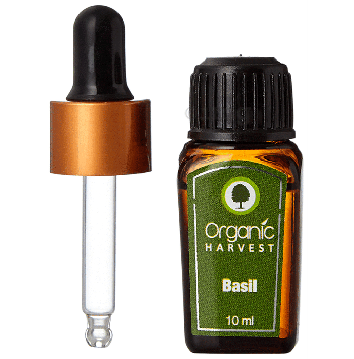 Organic Harvest Basil Essential  Oil