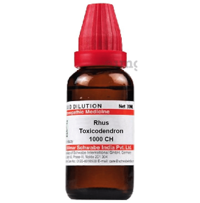 Dr Willmar Schwabe India Rhus Toxicodendron Dilution 1000 CH