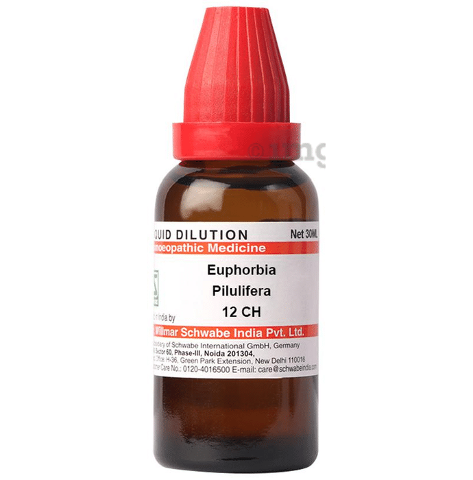 Dr Willmar Schwabe India Euphorbia Pilulifera Dilution 12 CH