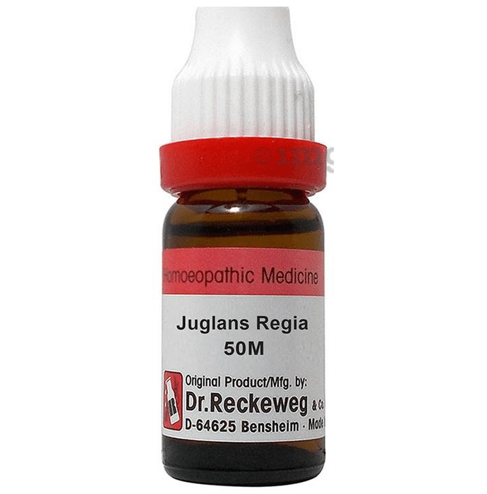 Dr. Reckeweg Juglans Regia Dilution 50M CH