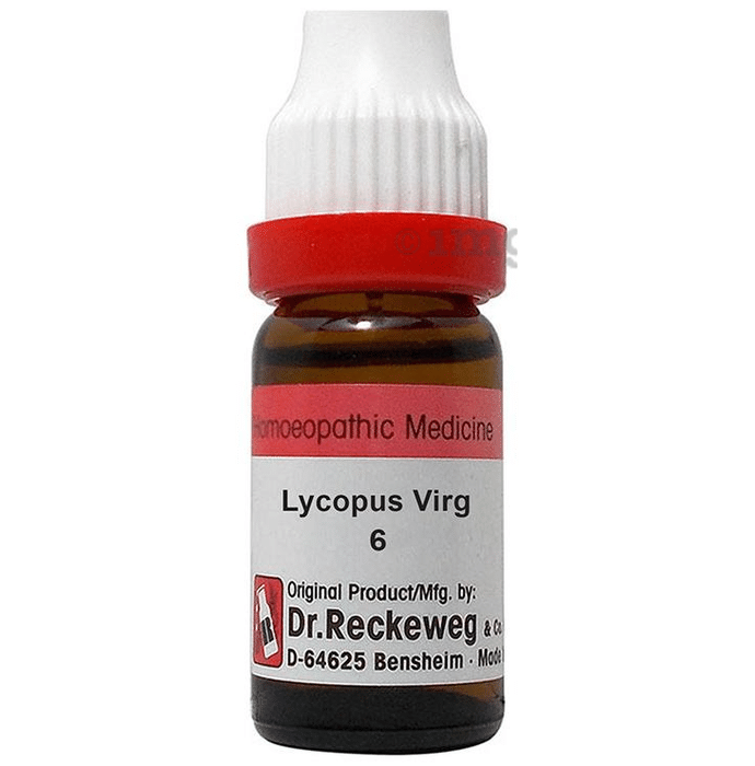 Dr. Reckeweg Lycopus Virg Dilution 6 CH