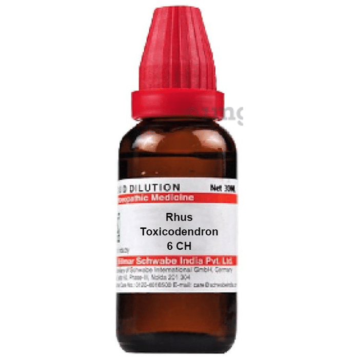 Dr Willmar Schwabe India Rhus Toxicodendron Dilution 6 CH