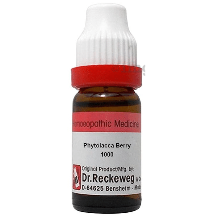 Dr. Reckeweg Phytolacca Berry Dilution 1000 CH