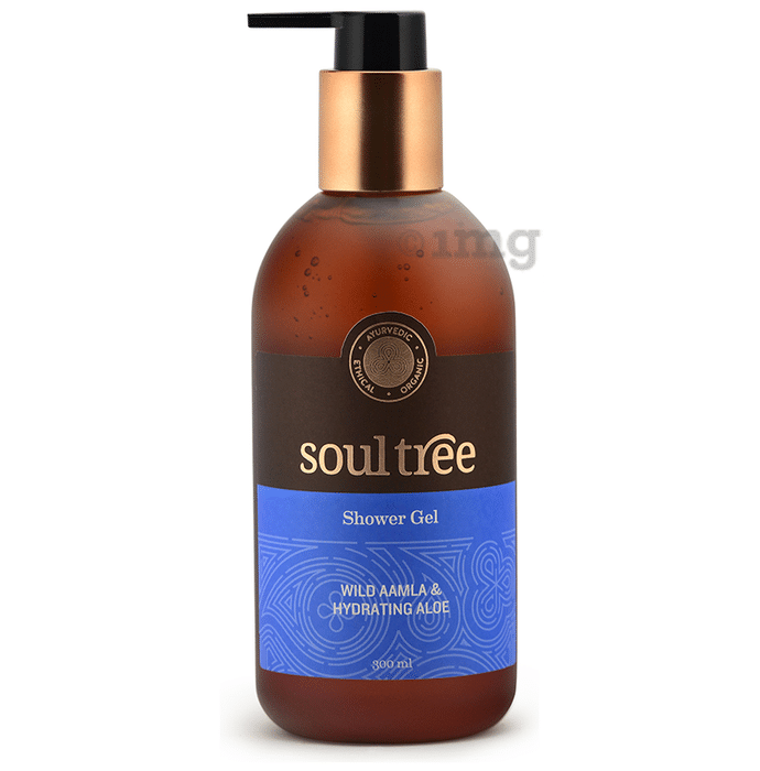 Soul Tree Wild Aamla and Hydrating Aloe Shower Gel