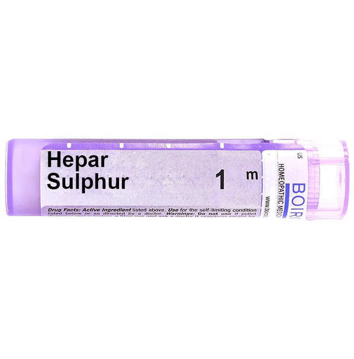 Boiron Hepar Sulphur Single Dose Approx 200 Microgranules 1000 CH