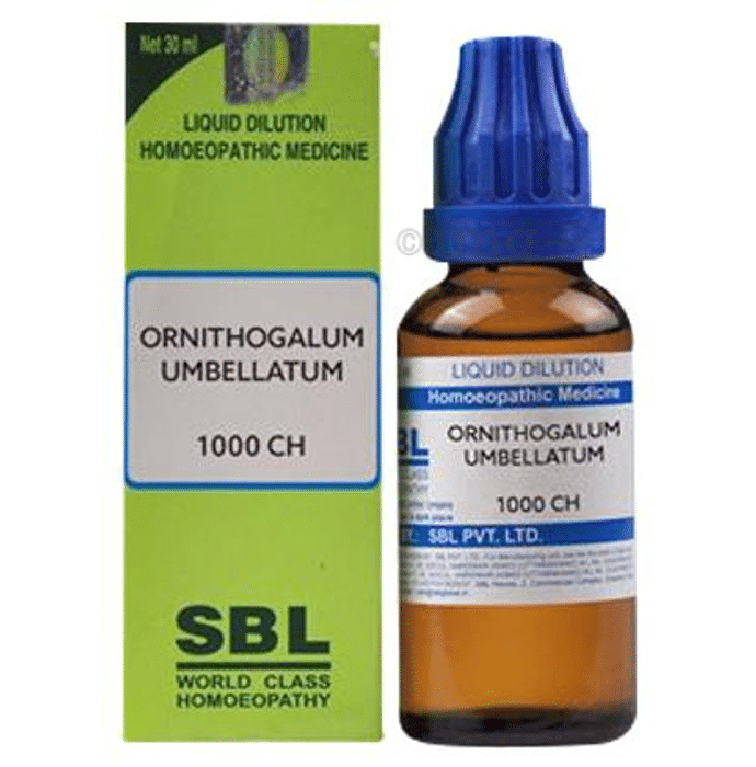 SBL Ornithogalum Umbellatum Dilution 1000 CH