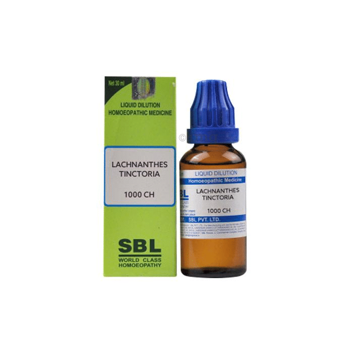 SBL Lachnanthes Tinctoria Dilution 1000 CH