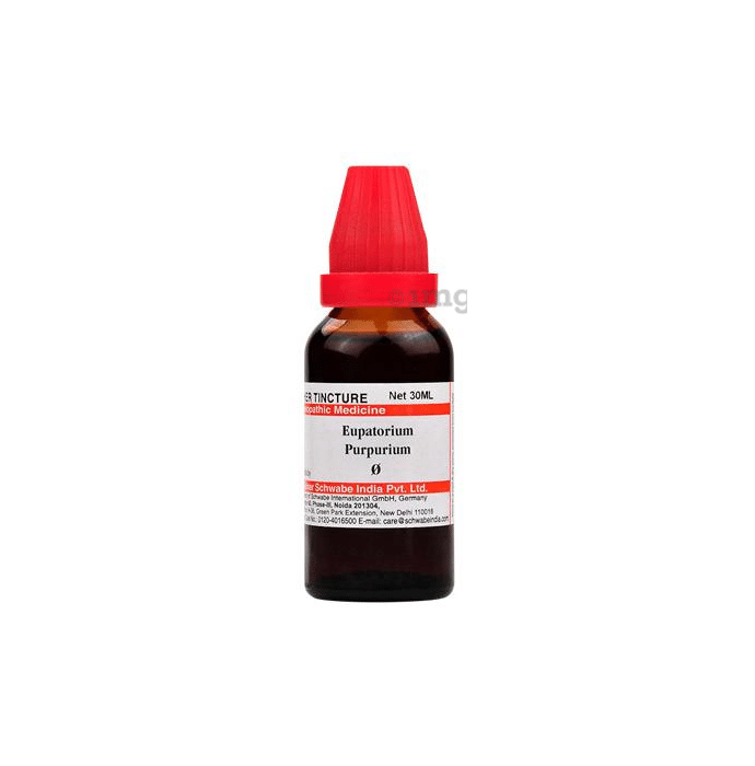 Dr Willmar Schwabe India Eupatorium Purpurium Mother Tincture Q