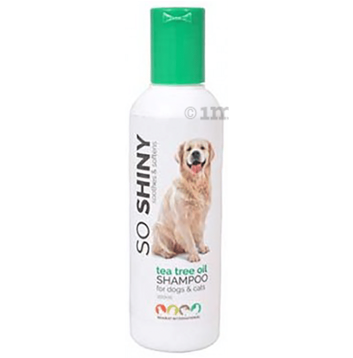 So Shiny Tea Tree Oil Shampoo for Dogs & Cats