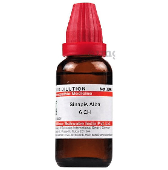 Dr Willmar Schwabe India Sinapis Alba Dilution 6 CH