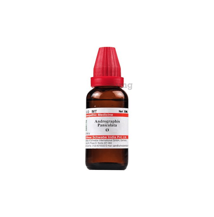 Dr Willmar Schwabe India Andrographis Paniculata Mother Tincture Q