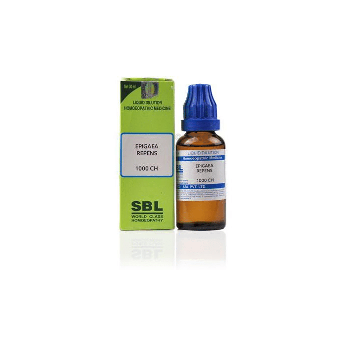 SBL Epigaea Repens Dilution 1000 CH