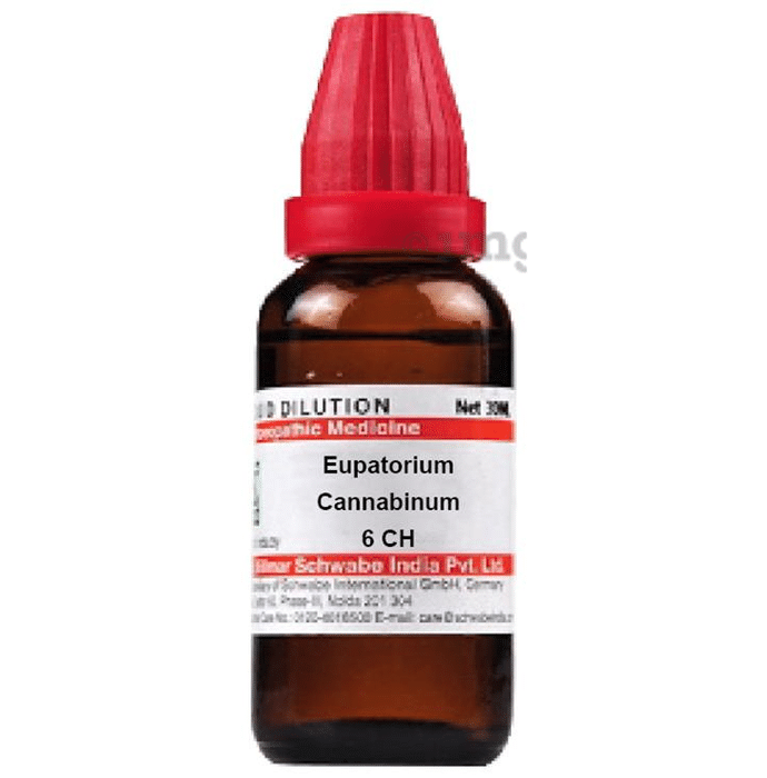 Dr Willmar Schwabe India Eupatorium Cannabinum Dilution 6 CH