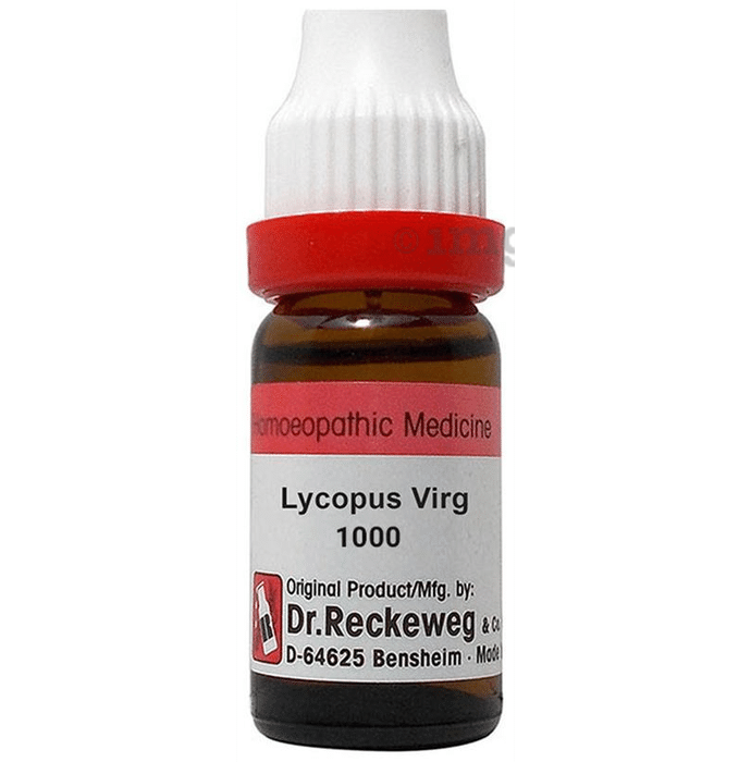 Dr. Reckeweg Lycopus Virg Dilution 1000 CH