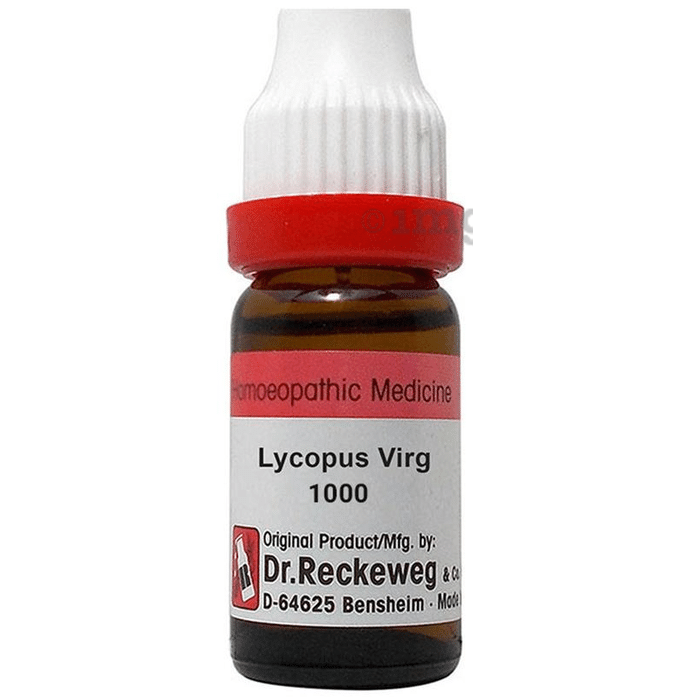 Dr. Reckeweg Lycopus Virg Dilution 1000 CH