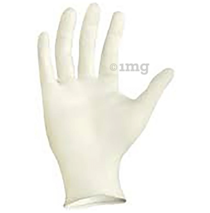 Dominion Care Latex Examination Glove Large