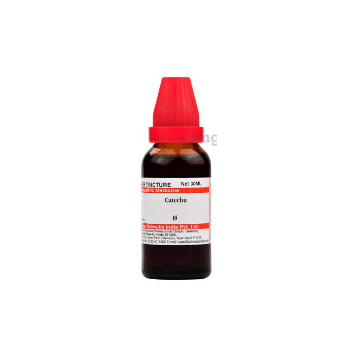 Dr Willmar Schwabe India Catechu Mother Tincture Q