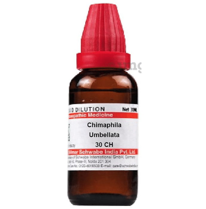 Dr Willmar Schwabe India Chimaphila Umbellata Dilution 30 CH