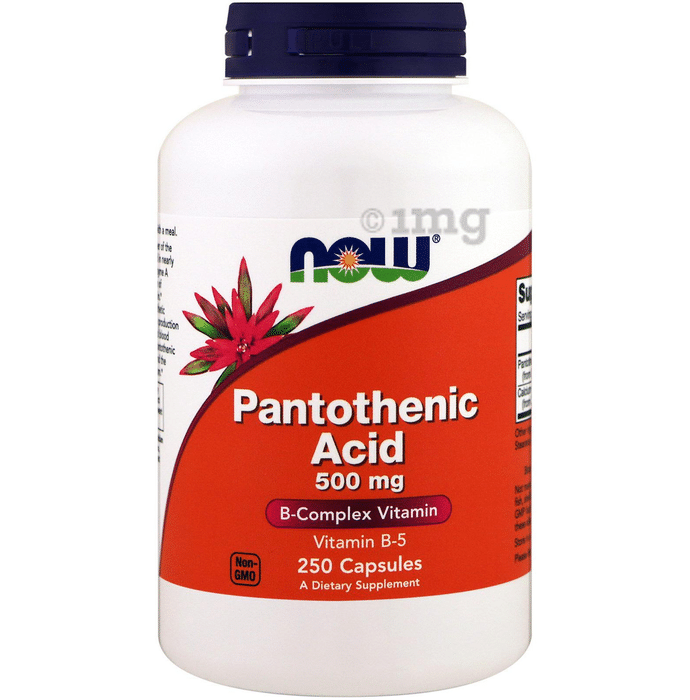 Now Foods Pantothenic Acid 500mg Capsule